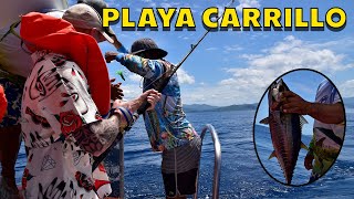 Playa Carrillo Whale & Dolphin Spotting | Costa Rica