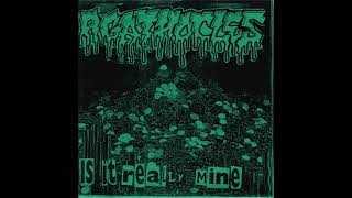 Agathocles/Punisher - Split 7&quot;