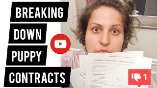 How To Find A Good Dog Breeder: Exposing Puppy Agreements &amp; What You Should Look For