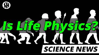 Physicist Discover Hidden Rules of Life