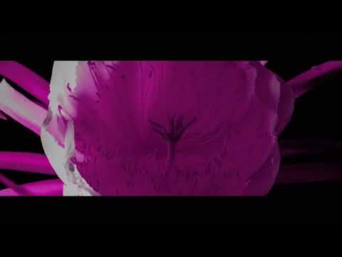 Skor - Park Snów (prod. Mihtal) ARTWORK Sezon #2 (official video)