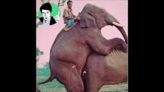 L'Éléphant Aveugle - Jacques Dutronc