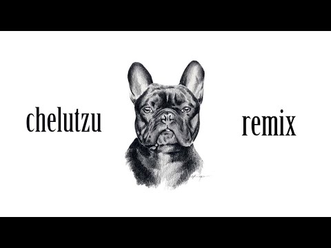 CHELUTU feat. Dorian Popa - Chelutu cu Bradutu (Official Video)