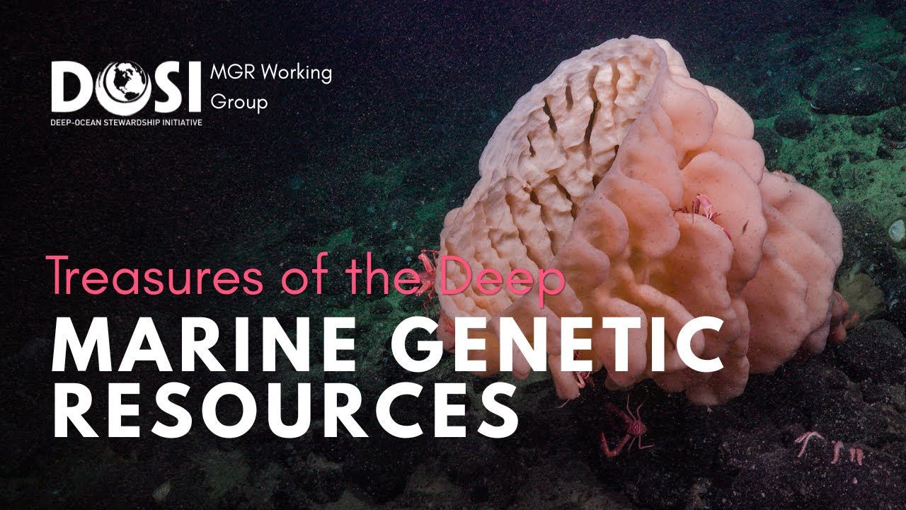 Treasures of the Deep: Marine Genetic Resources