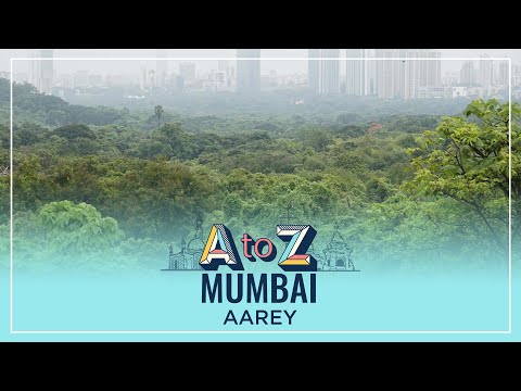 Aarey Forest: मुंबईतील सर्वात मोठ्या जंगलाबद्दल जाणून घ्या