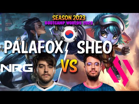 NRG Palafox vs BDS Sheo - Palafox YONE vs Sheo TRISTANA Mid - Patch 13.19