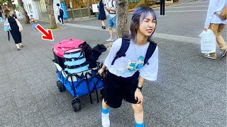 路上ライブで必要なものってなに？