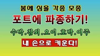 [텃밭농부 2,178]  봄에 심을 각종 모종의 씨앗을 포트에 파종하는 방법! #모종키우기