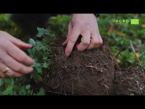EkoSchematy - sprawdź nasze patenty ;)