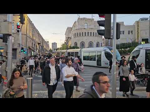 Hallel Songs Blessings 🙌 from Kohanim at the kotel Jerusalem