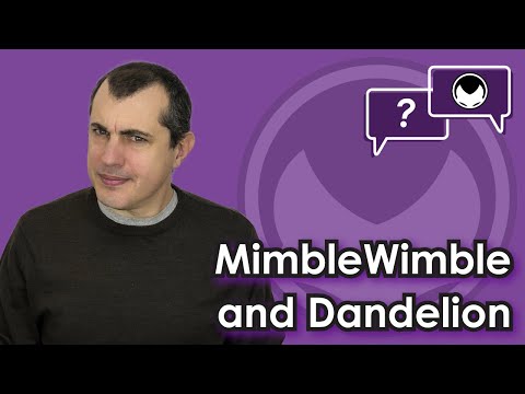 Bitcoin Q&A: MimbleWimble and Dandelion Video