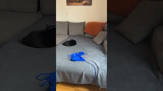 Bikini hot girl #cute #funny #instagram #gym #dance #trending #trendingshorts #tiktok #gaming #games