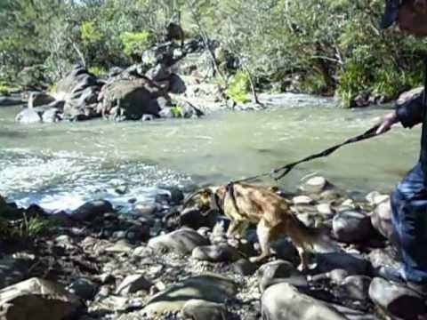 Exploring Riverwood Downs