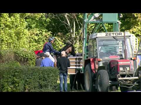 Galopprennbahn Dresden - 29.09. 2018 - Rennen 1