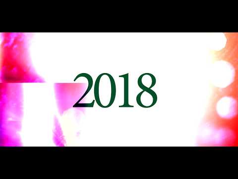 Sebastian Swislocki dla BJJ Fanatics