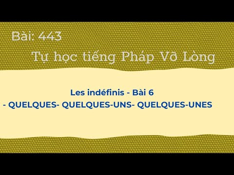 Bài 443- Tự học tiếng Pháp - Les indéfinis - Bài 6 - QUELQUES- QUELQUES-UNS- QUELQUES-UNES