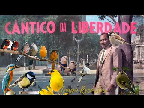CÂNTICO DA LIBERDADE E CANTA PASSARINHO - O AMOR DE VALDOMIRO SILVA PELA NATUREZA