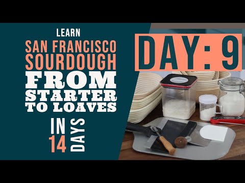 San Francisco Sourdough Bread Series: Day 9 - What do you need to bake sourdough bread?