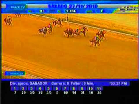 Resumen Sábado, 27 de Noviembre de 2010 - La Rinconada