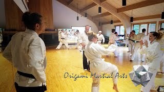 Origami Martial Arts | Woodstock, VT | Woodstock Athletic Club
