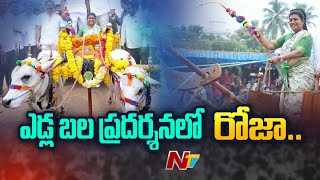 ఒంగోలు జాతి ఎడ్ల బల ప్రదర్శనలో ఎడ్ల బండి నడిపిన రోజా