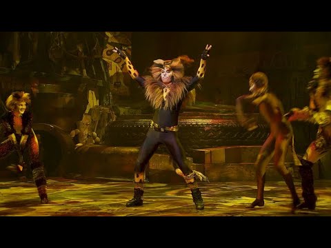  The Rum Tum Tugger