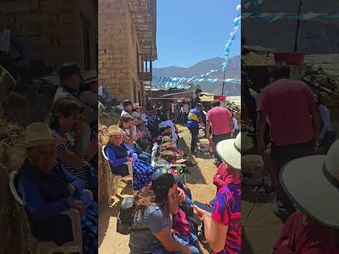 Malvas Huarmey Ancash
