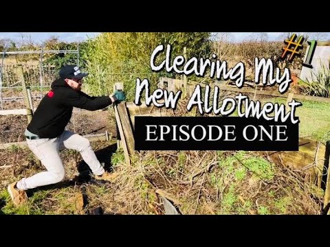 How to | Start An Allotment - The BIG Clear Up