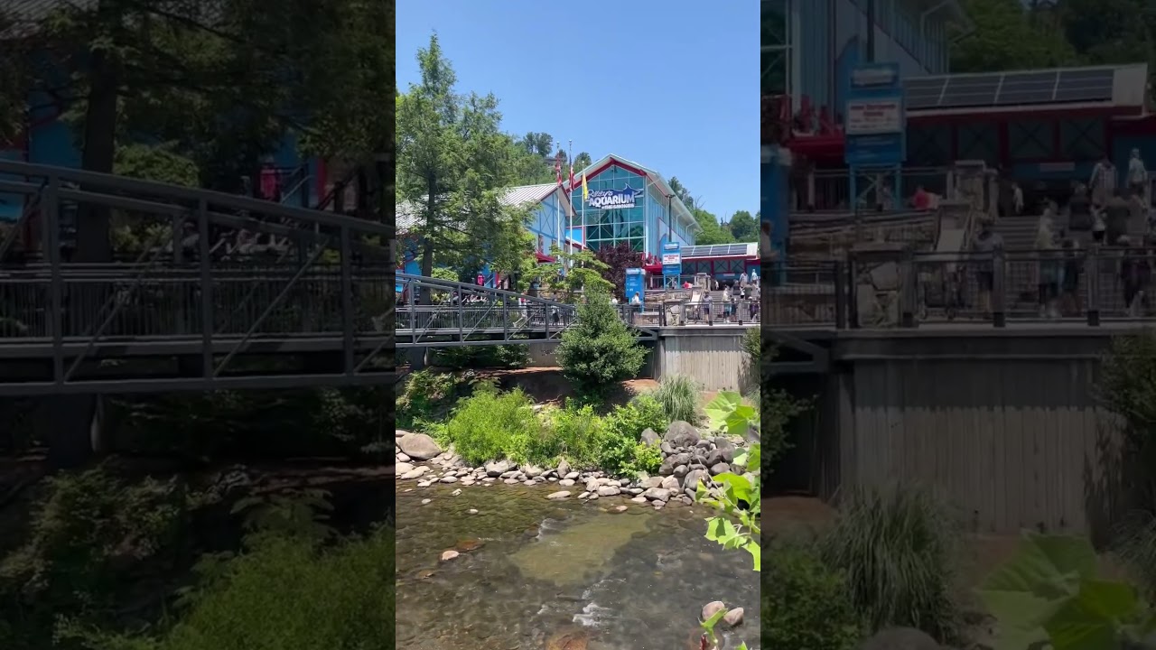 Ripley's Aquarium | Gatlinburg Tenn.