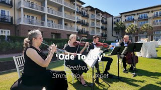 'Ode to Joy' - Beethoven, with added Trumpet