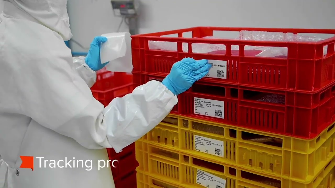 ThisFish Tally | Digitizing inventory and process control to strengthen seafood traceability