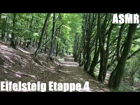 Eifelsteig Etappe 4 - Natur pur - Fernwanderweg in der Eifel - long-distance hiking trail - ASMR