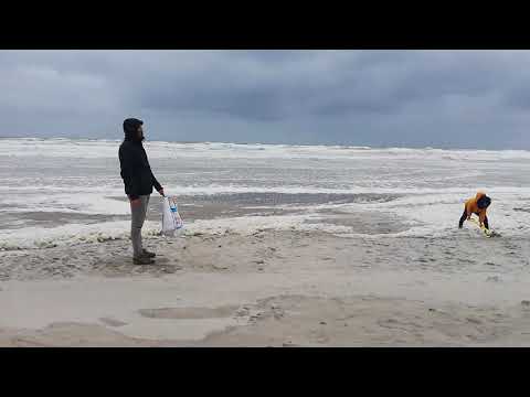 Holiday on the Island Terschelling from the Netherlands.
