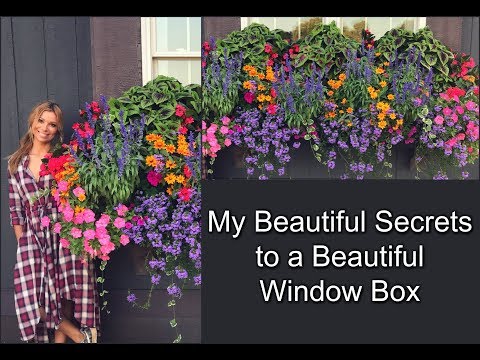 Beautiful Window Box