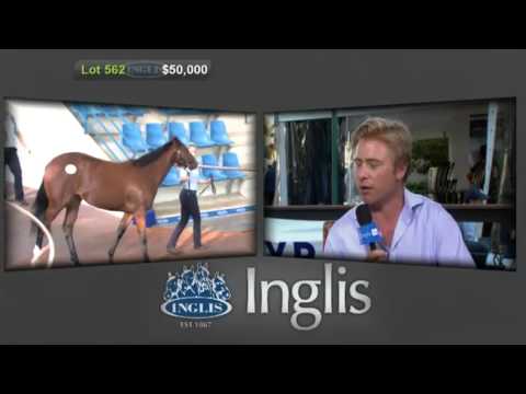 2013 Inglis Easter Yearling Sale - TVN Interview 