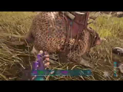 Ark: The Island /S. 1/Ep. 5/Rex or Cyber Rex?