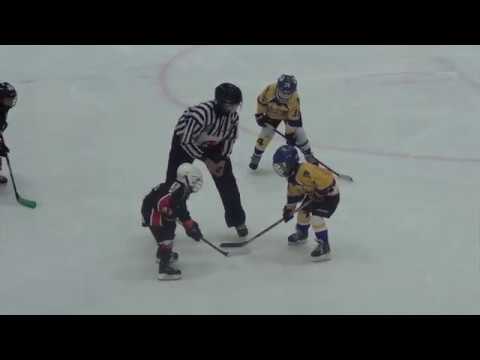 HK Tornaado G2 – HC Vipers G Black 1:6 (0:2; 1:4) 30.11.2017