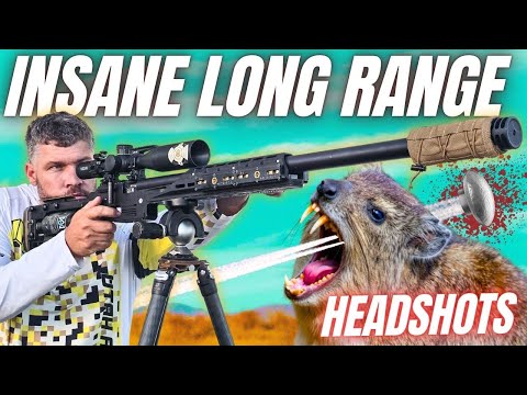 INSANE Long Range Headshots! 🎯 FX Panthera Airgun Hunting