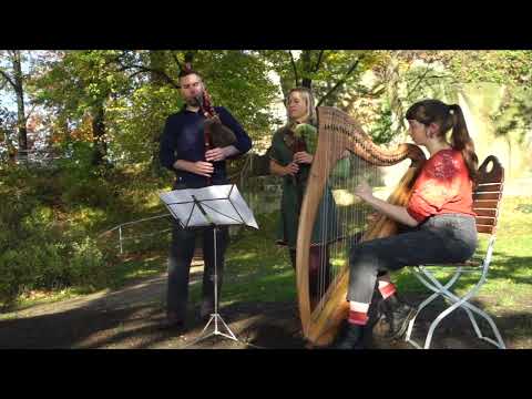 Rose of Raby (Dave Shepherd) - Bagpipes and Harp