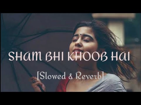 Shaam Bhi Khoob Hai lofi song .Karz | Udit Narayan ( Slowed + Reverb ) ||Ritik_AUDIOS ||cblofistudio