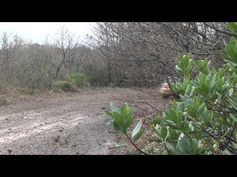 2011 İstanbul Ralli Kupası 2. Ayak / Bülent Gürkan - Soner Tamer / Renault Clio Ragnotti