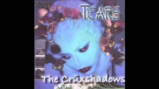 Tears [Fictional Remix] = The Crüxshadows