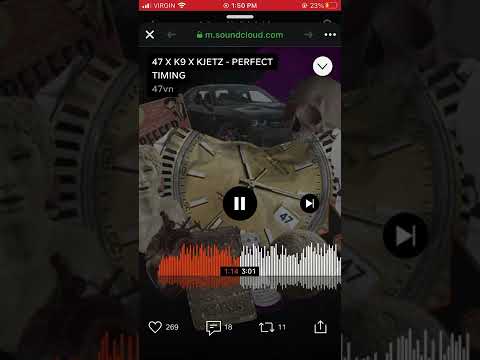 Perfect Timing - 47 X K9 X KJETZ