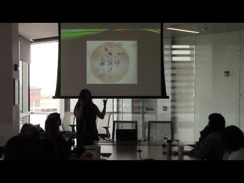 Iliana Reyes, Ph.D., University of Arizona, College of Education, Turbeville Speaker Series