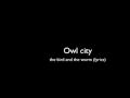 Owl City- The Bird and The Worm (lyrics) 