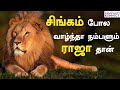 The Lion Mentality | Lion Motivational Video in Tamil | Inspirational Videos | Attitude of a Lion !!