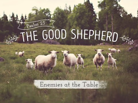 Enemies at the Table - Psalm 23:5