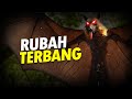 Nasib Usang Si Rubah Terbang AlamSemenit