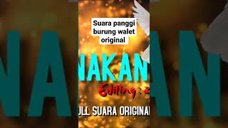 Download lagu suara panggil burung walet original tanpa noise mp3
