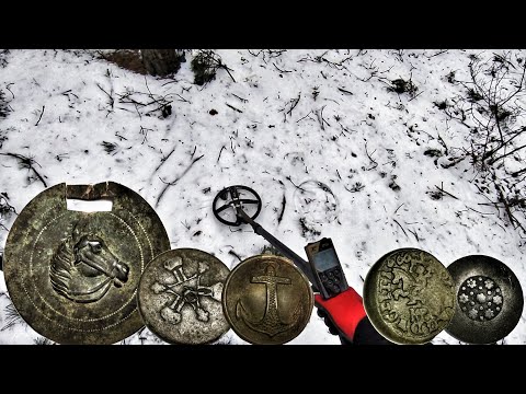 Wykopki odc 170 - Leśne żniwa trwają